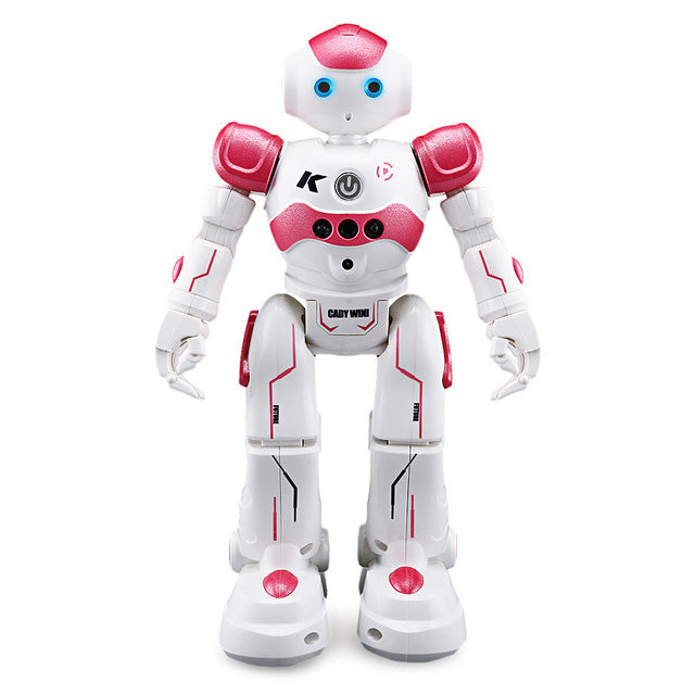 SenseBot - Gesture Sensing Smart Robot